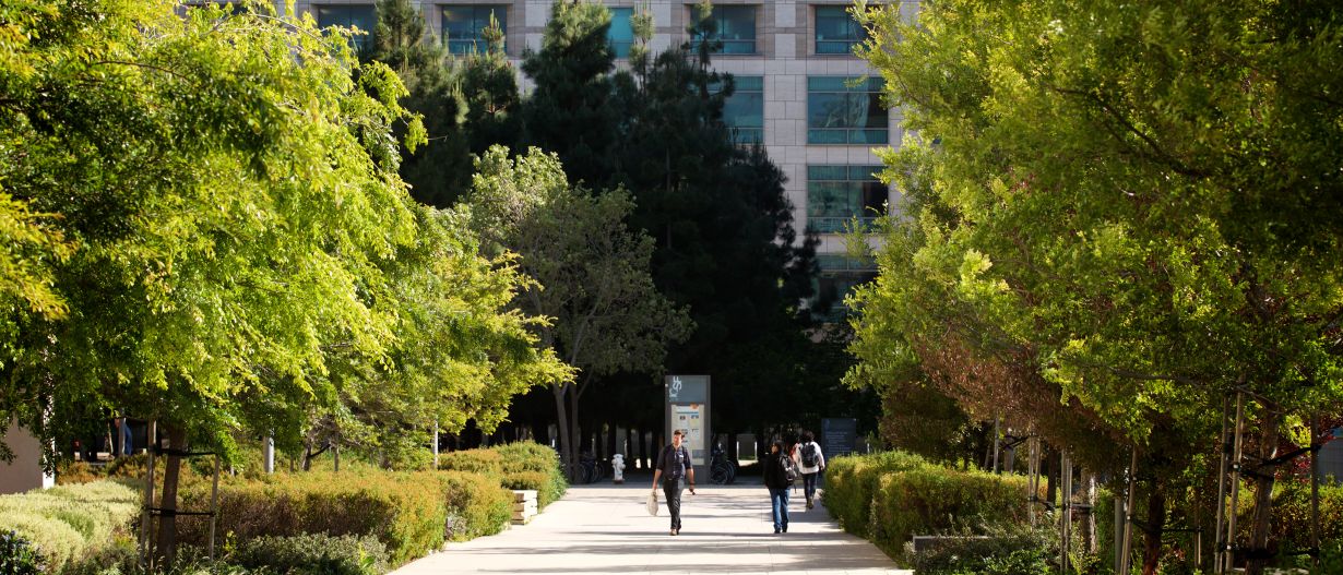student walks a path surrounded by trees.
